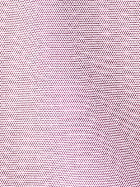 SEIDENSTICKER Regular Fit Camisa Rojo Button-Down Struktur - Vista 1